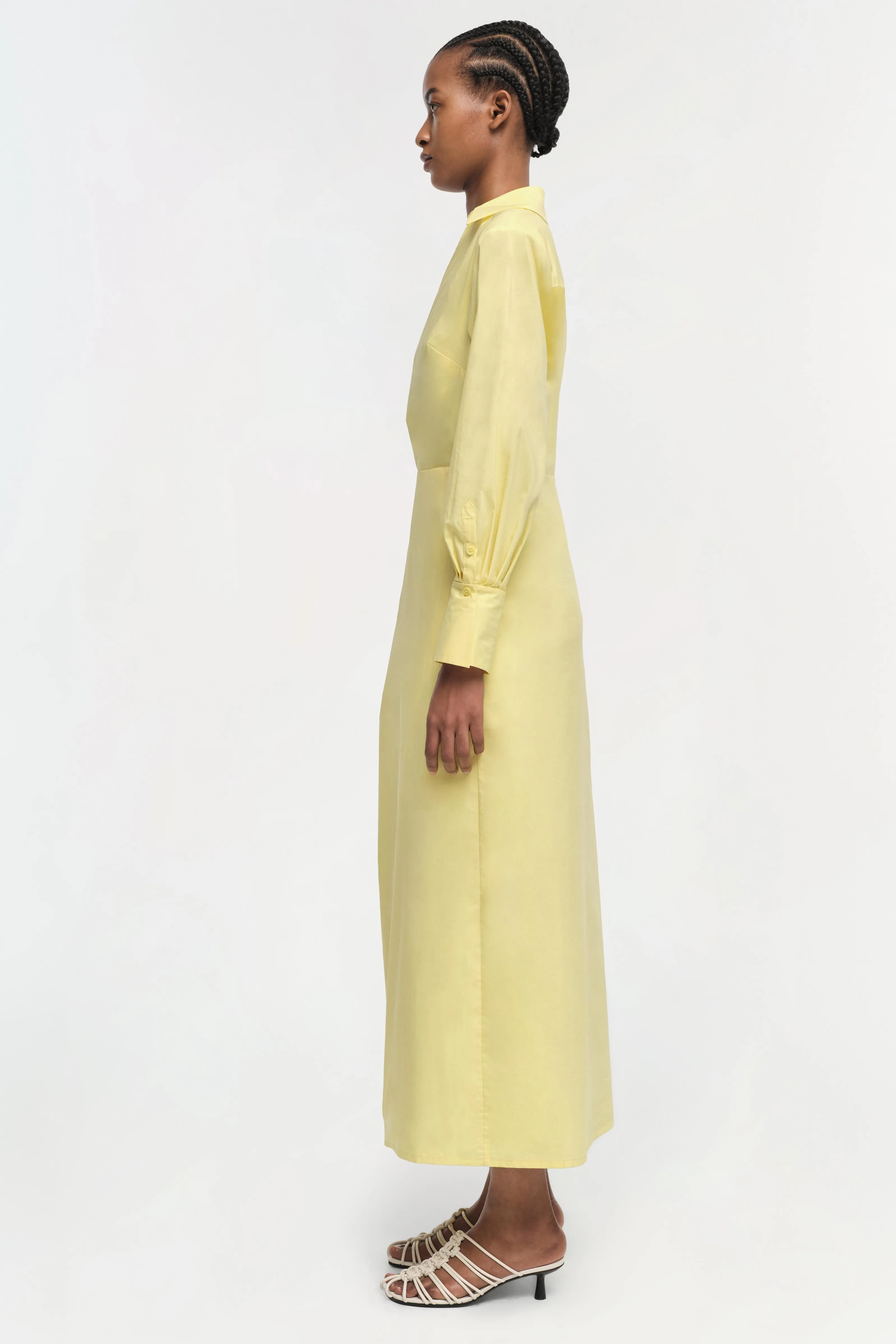 Briar Dress