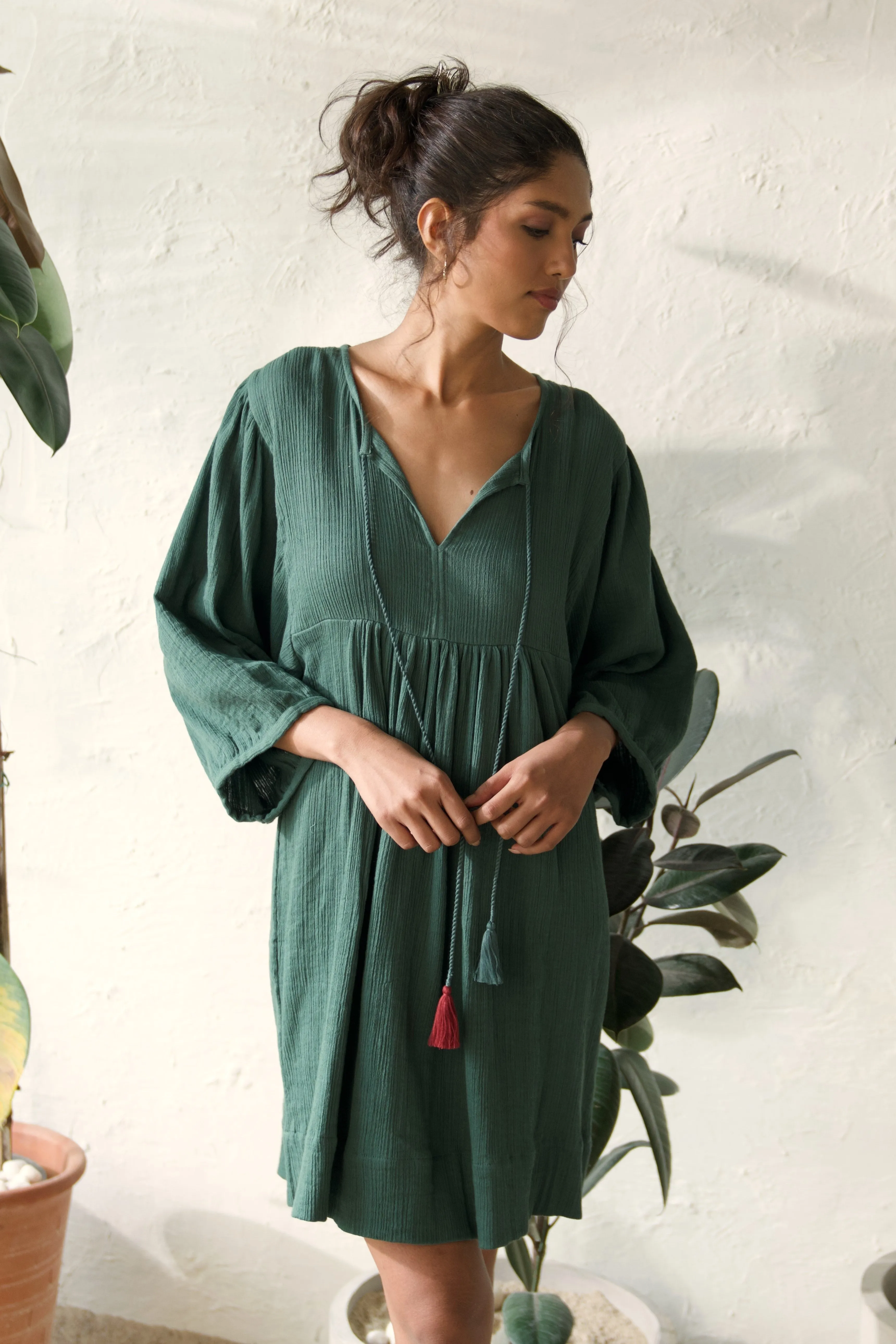 Fittonia Dress