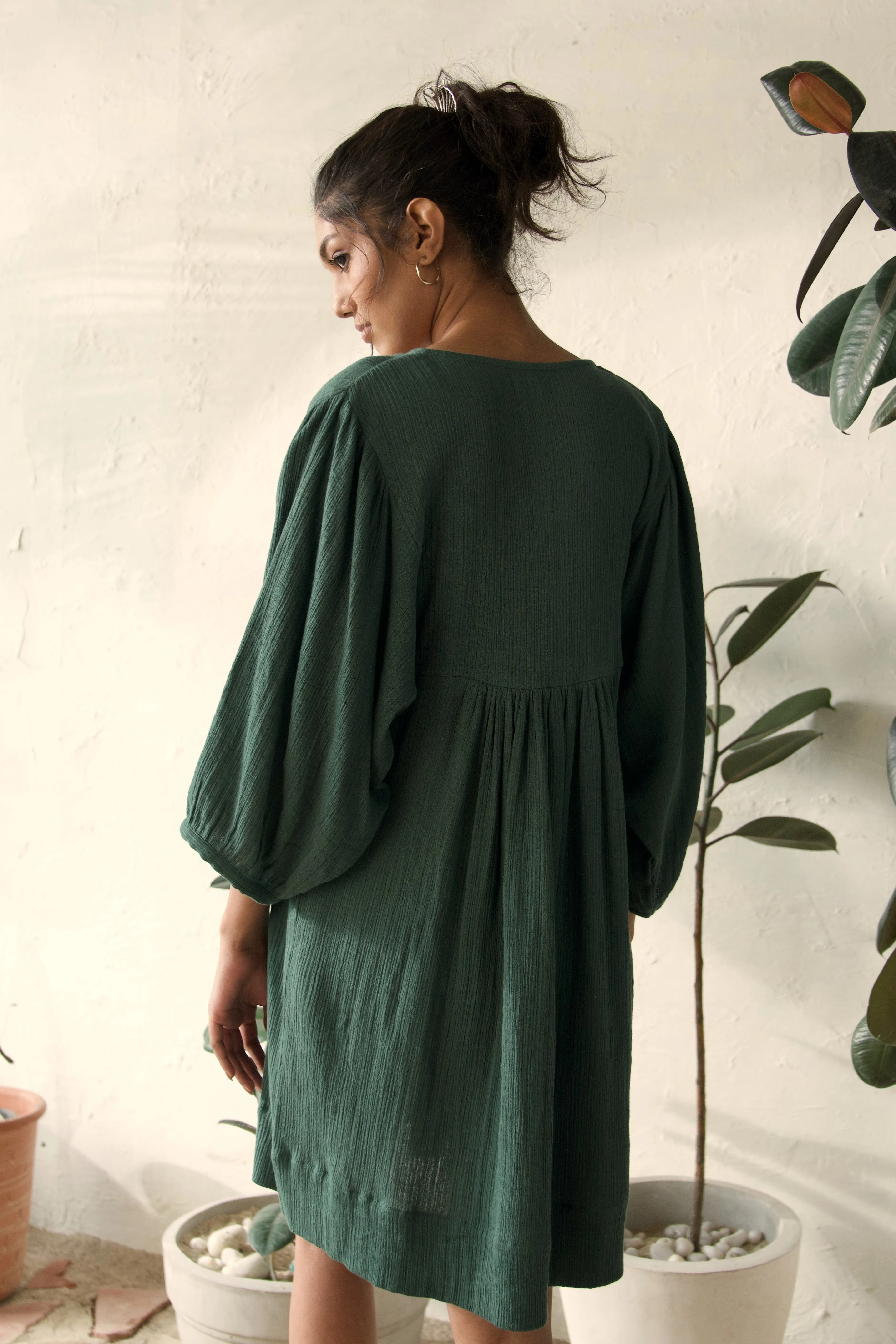 Fittonia Dress