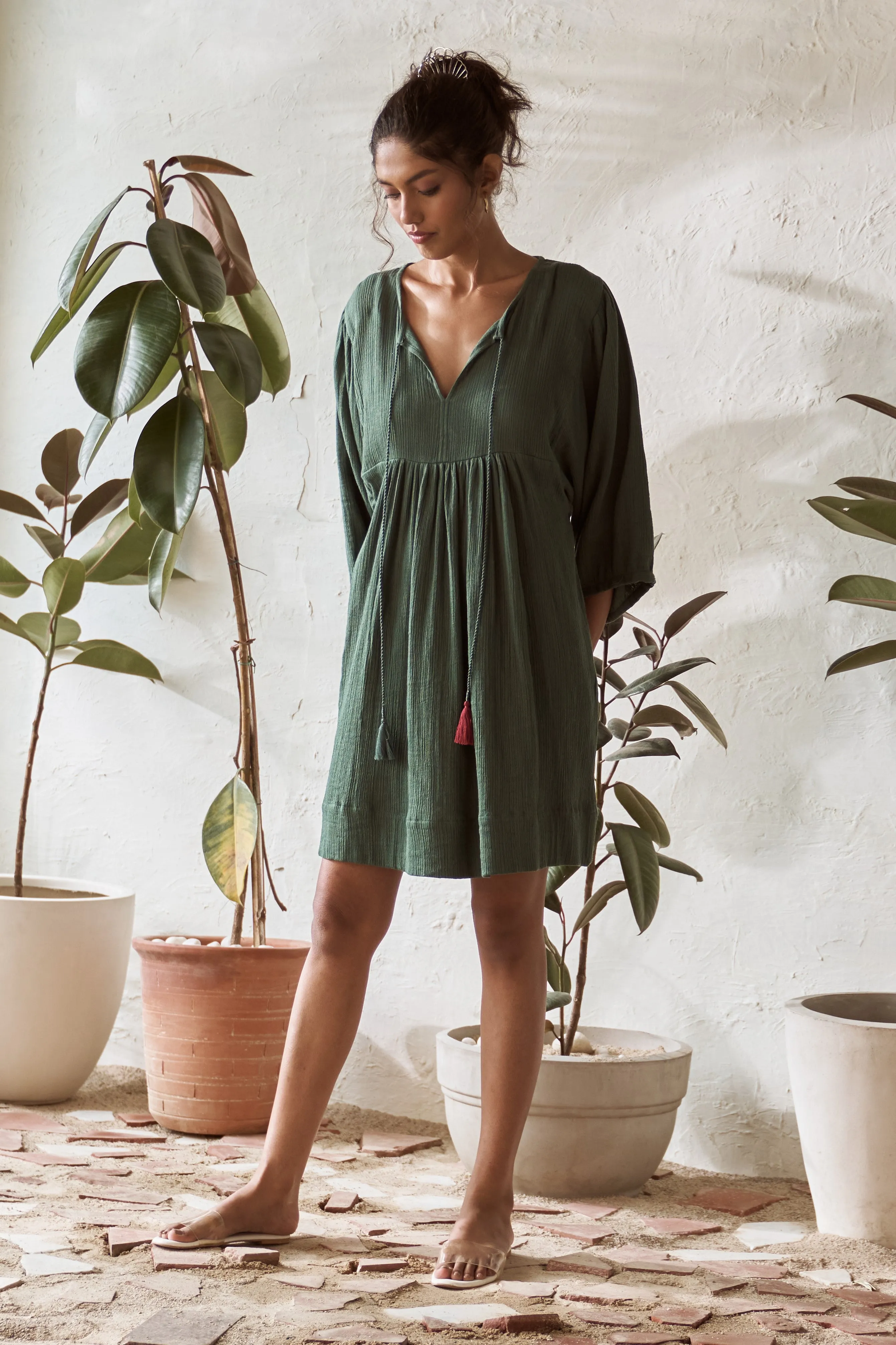 Fittonia Dress