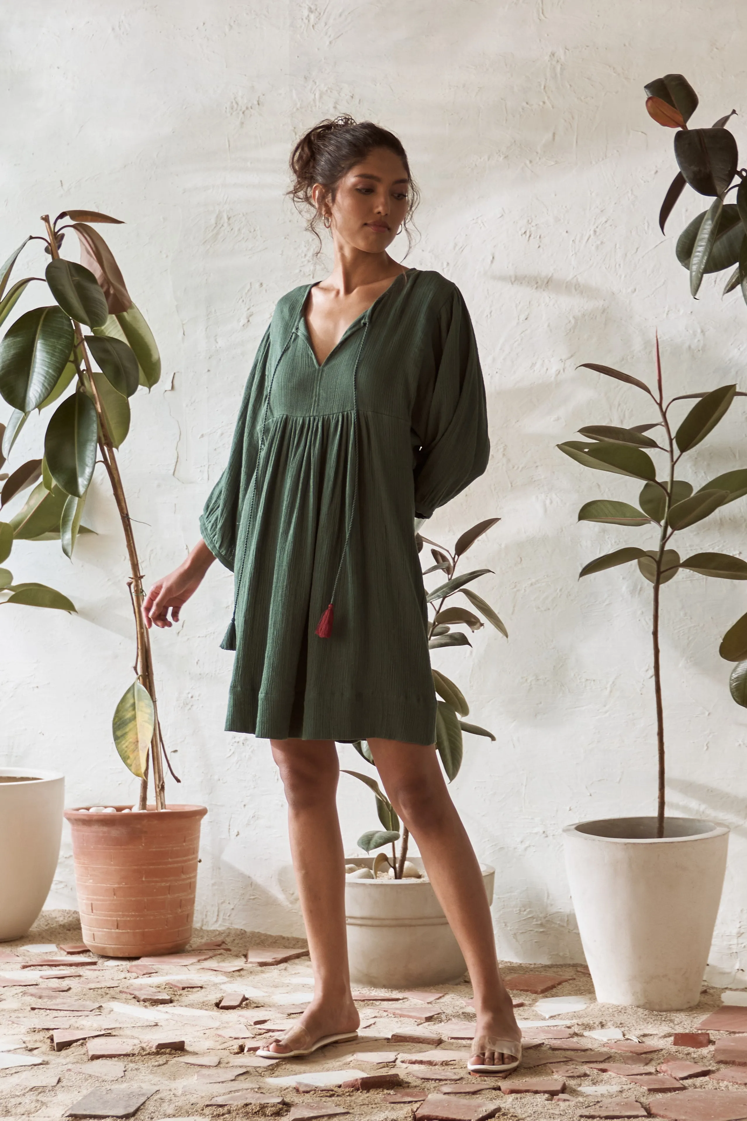 Fittonia Dress